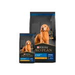 ProPlan Dog Senior Active Mind Razas Pequeñas Pollo