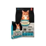 Oven Baked Cat Adult Pescado