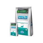 Vet Life Dog Growth & Convalescence