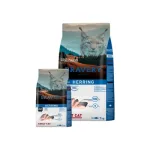 Bravery Cat Adult Arenque