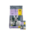 Three Cats Kitten