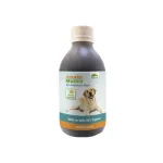 AllGreen Jarabe Matico 250 ml