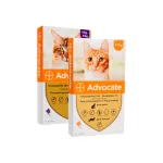 Advocate Cat