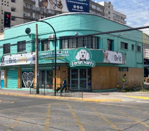 , veterinaria y peluquería