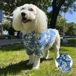 Guayabera Celeste