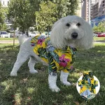 Guayabera Amarilla