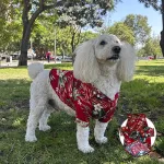 Guayabera Roja