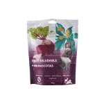 AllGreen Snack Saludable Matico y Beterraga 100g