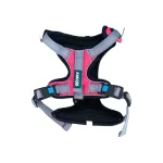 Buen Amigo Arnés Pechera Diseño Panal Fucsia