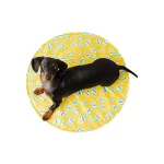 GFPET Ice Mat Yellow Redonda Small/Medium