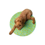 GFPET Ice Mat Aqua Redonda Large/X-Large