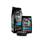 Alpha Spirit Dog Wild Fish