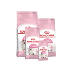 Royal Canin Cat Kitten