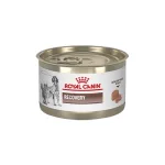 Royal Canin Dog & Cat Lata Recovery