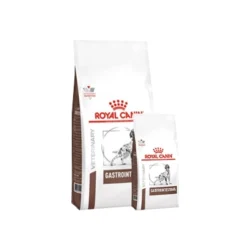 Royal Canin Dog Gastrointestinal
