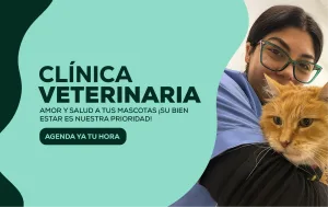 Clínica veterinaria en San Miguel Berlin Happy