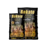 Bokato Gold Dog Adult en Berlín Happy