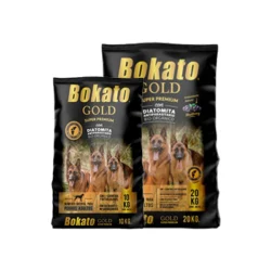 Bokato Gold Dog Adult en Berlín Happy