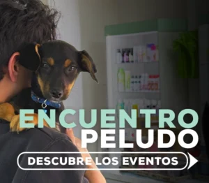 Activaciones de marketing, eventos y encuentro de mascotas en San Miguel, jornadas de adopción y promotorías