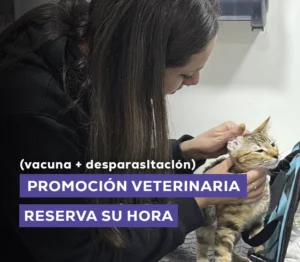 Veterinaria en San Miguel, Chile
