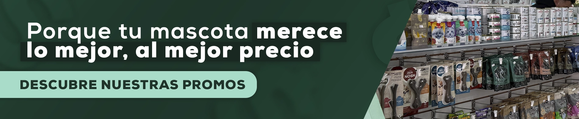 Productos para perros y gatos con descuentos. Tienda de mascotas en Santiago, Chile