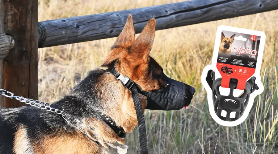 Bozales para Perros: Cómo Elegir el Adecuado