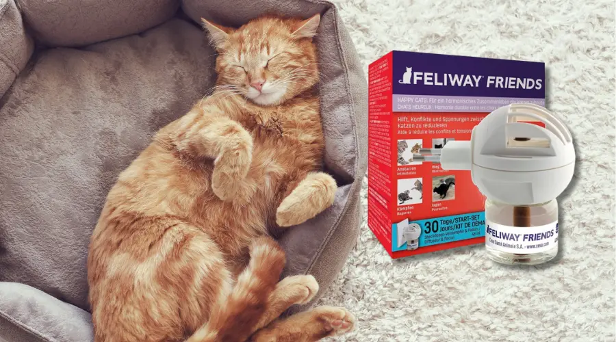 Feliway: La Solución Definitiva para el Estrés y Ansiedad en Gatos