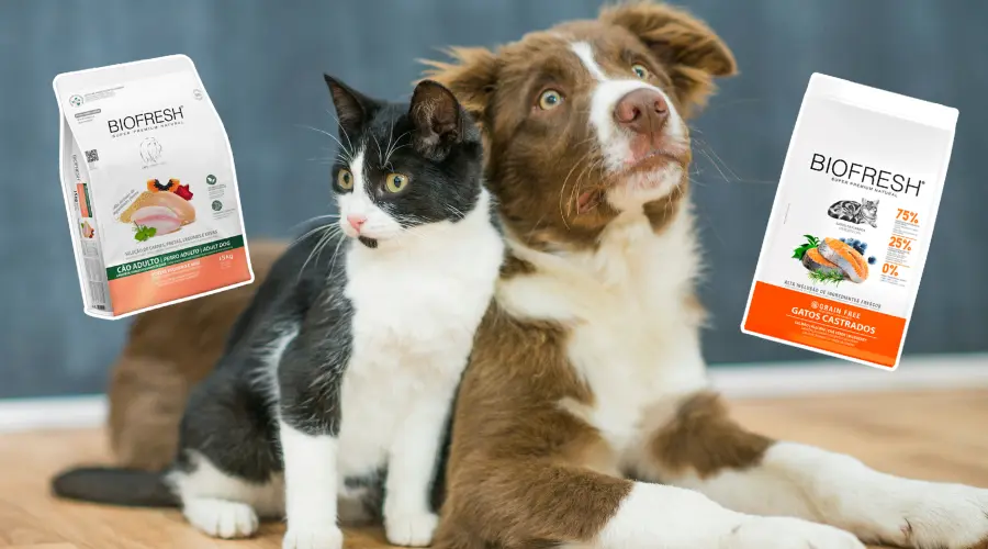 Biofresh para perros y gatos: qué es y dónde comprar