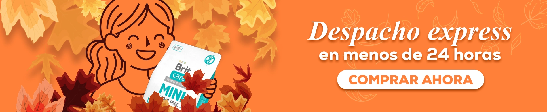 En Berlín Happy contamos con despacho express, compra ahora y recibe en menos de 24 horas