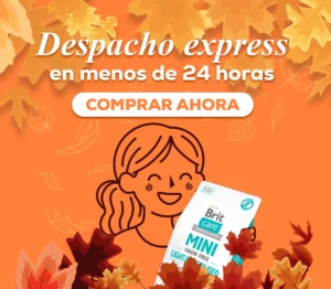 En Berlín Happy contamos con despacho express, compra ahora y recibe en menos de 24 horas