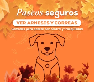 Collares y arneses para perros en Berlín Happy