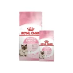 Royal Canin Cat Mother & Babycat