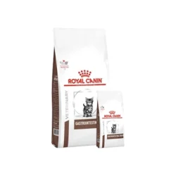 Royal Canin Cat Kitten Gastrointestinal