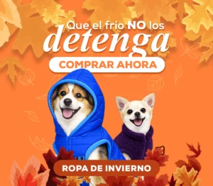 Ropa de invierno para perros