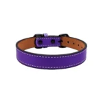 Buen Amigo Collar Cuerina Unicolor