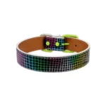 Buen Amigo Collar Tornasol Large