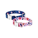 Buen Amigo Collar Ajustable Medium