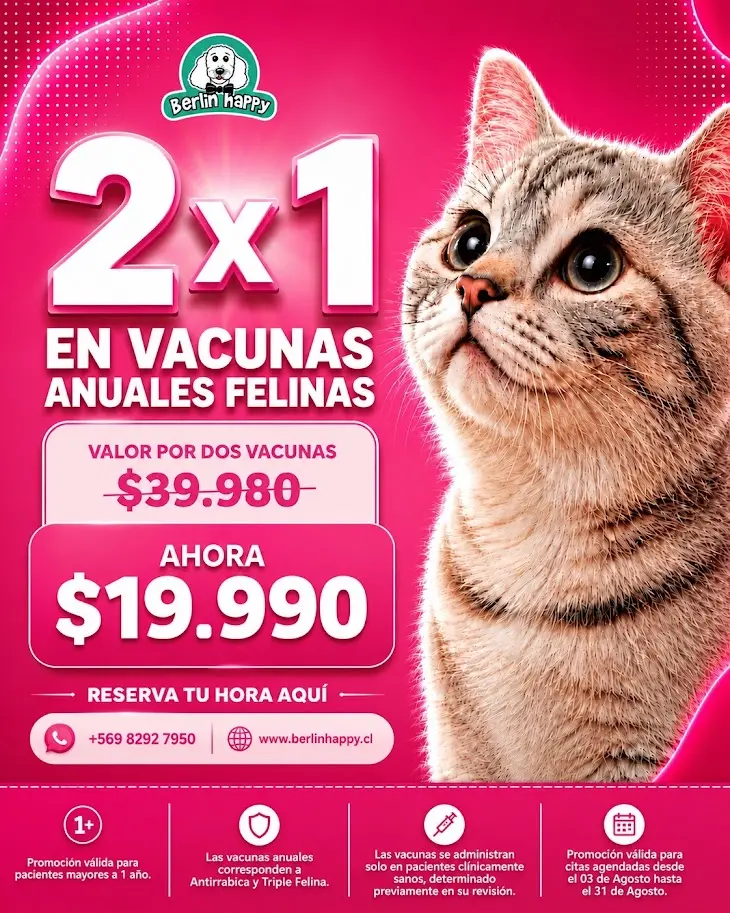2x1 en vacunas para Gatos