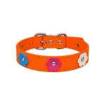 Dandi Collar Fluor Floreado Large