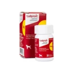 Galliprant 20 mg 30 comp (Receta Médica)