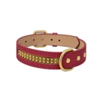 Mundo Mascota Collar con Aplicacion Dorada X-Large
