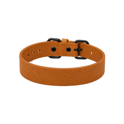 78423654237256 PetBaby Collar Liso con Perritos Medium - Imagen 1