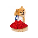 Traje Fiestas Patrias Talla 2 - Imagen 3