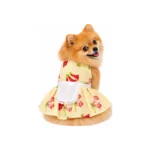 Traje Fiestas Patrias Talla 2