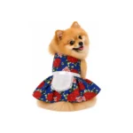 Traje Fiestas Patrias Talla 2 - Imagen 9