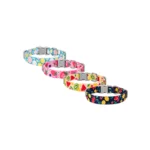 Buen Amigo Collar Ajustable Large