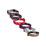 Leon Pet Collar Ajustable Medium