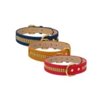 Mundo Mascota Collar con Aplicacion Dorada Medium